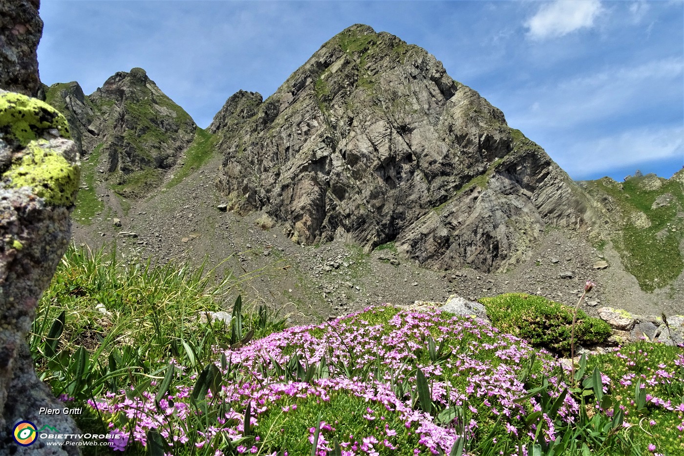 45 Silene a cuscinetto (Silene acaulis) per il Pizzo di Trona.JPG